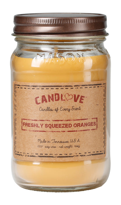 Candlove Vanilla Scented Candle - Non-Toxic 100% Soy Candle - Handmade & Hand Poured Long Burning Candle - Highly Scented All Natural Clean Burning Candle (16 OZ Mason Jar) Made in The USA (Copy) (Copy) (Copy) (Copy)
